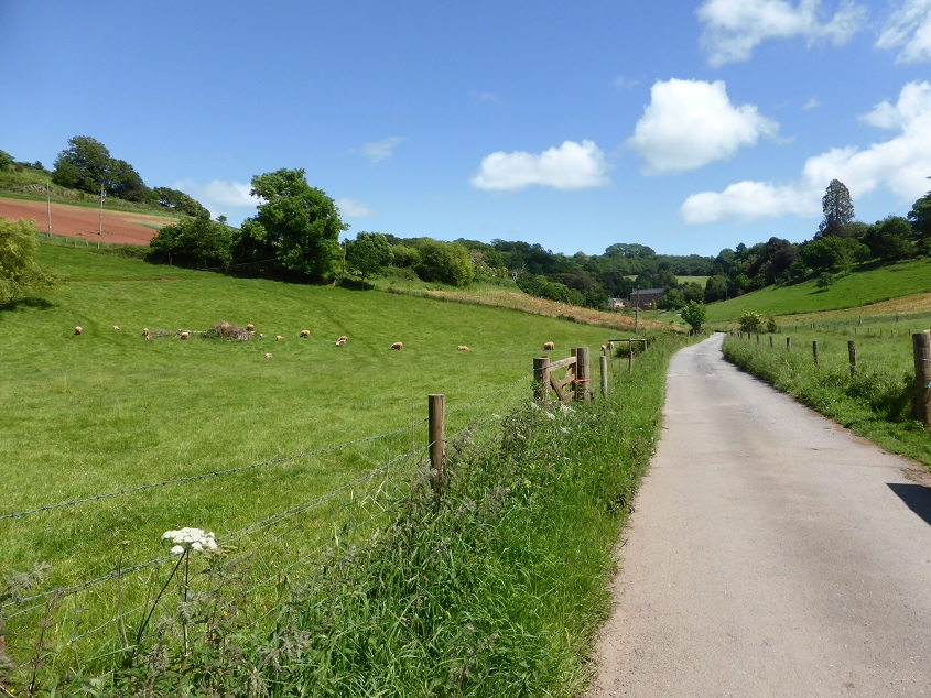 Road to Haccombe House